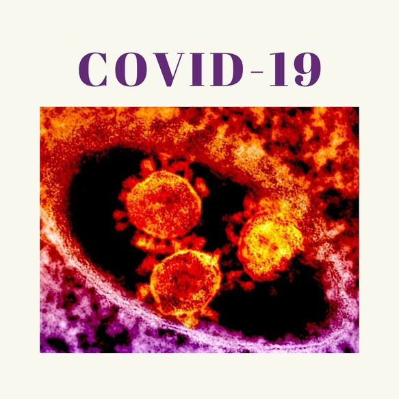 The Sid Foundation, COVID-19, Coronavirus, Immune system, Immunocompromised, World Health Organization, WHO